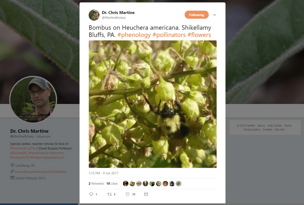 Salvar especies usando la ciencia y Twitter