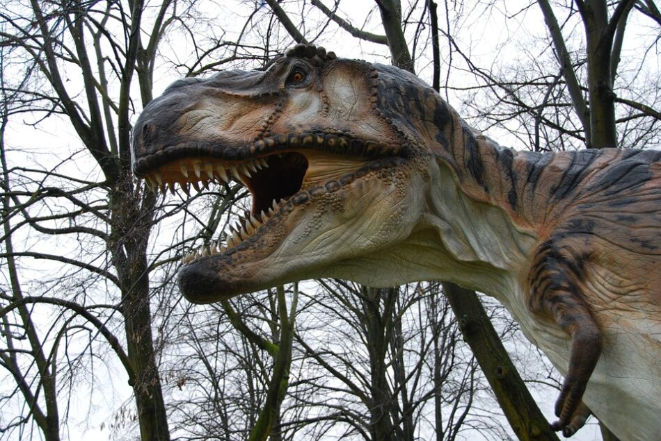 ¿Se hubiera extinguido el T. rex de haber tenido pico? Quizás no.