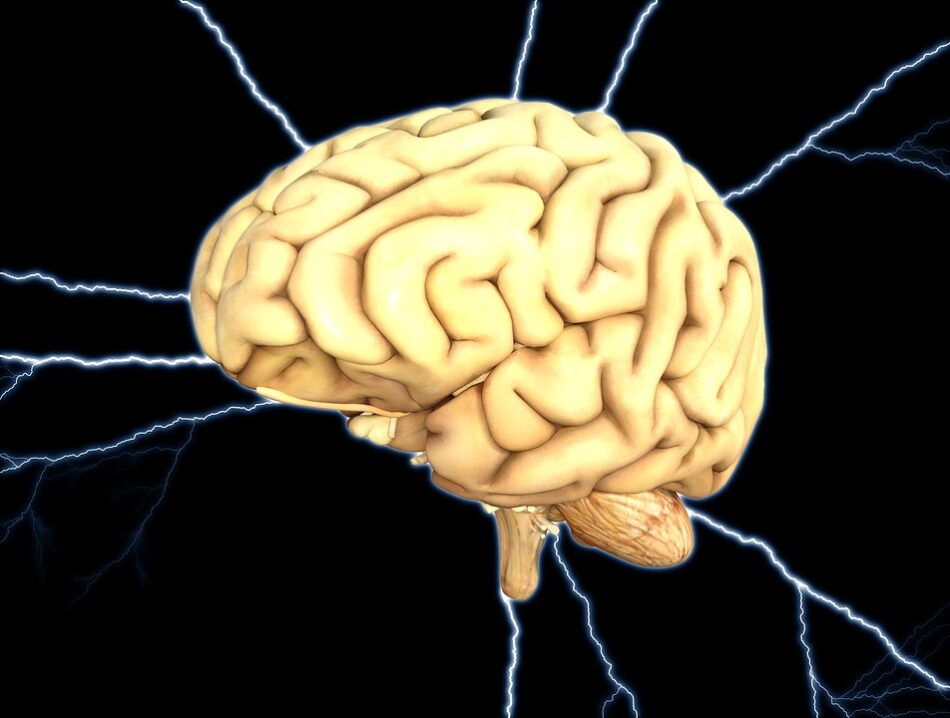 ¿Se puede conectar un cerebro directamente a Internet?