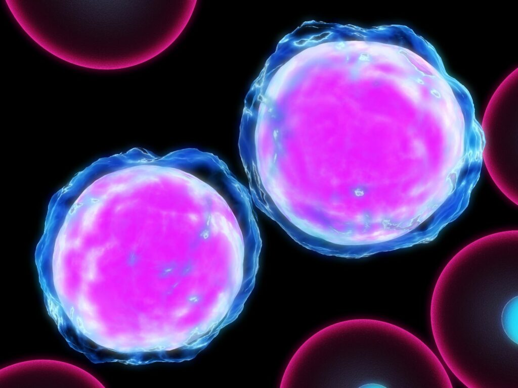 Señalan dónde comienza el cáncer 1 senalan donde comienza el cancer Señalan dónde comienza el cáncer