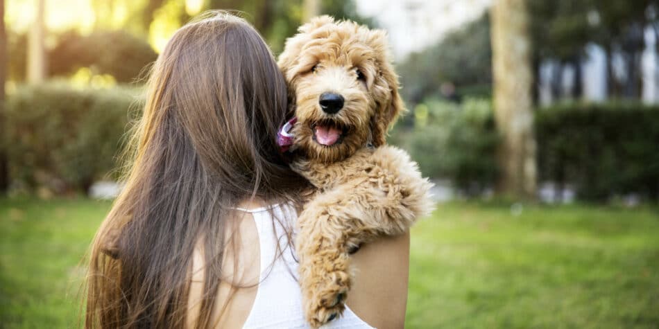 Si hablas con tu perro no estás loco… es bueno