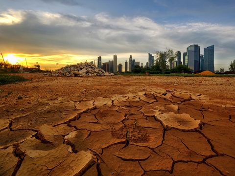 En 2050, una de cada 5 ciudades tendrá un clima jamás vivido en la Tierra
