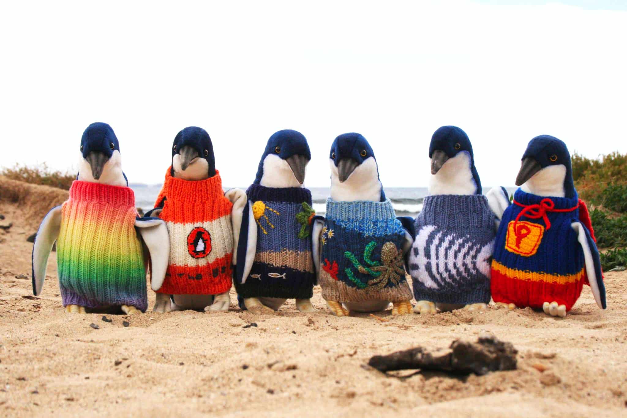 ¿Sueñan los pingüinos con jerseys de lana?