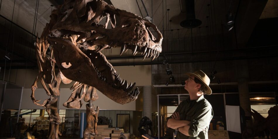 Descubren el T-rex más grande del mundo