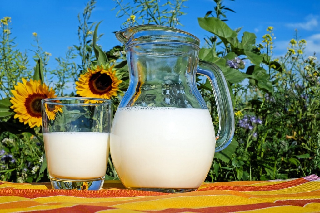 Tomar tres porciones diarias de productos lácteos sin desnatar podría reducir el riesgo cardiovascular
