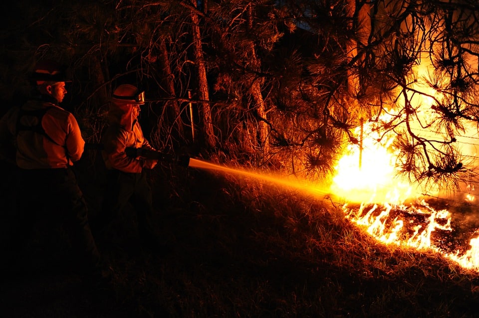 Tras la pista del fuego: ¿Cómo se investiga un incendio forestal?