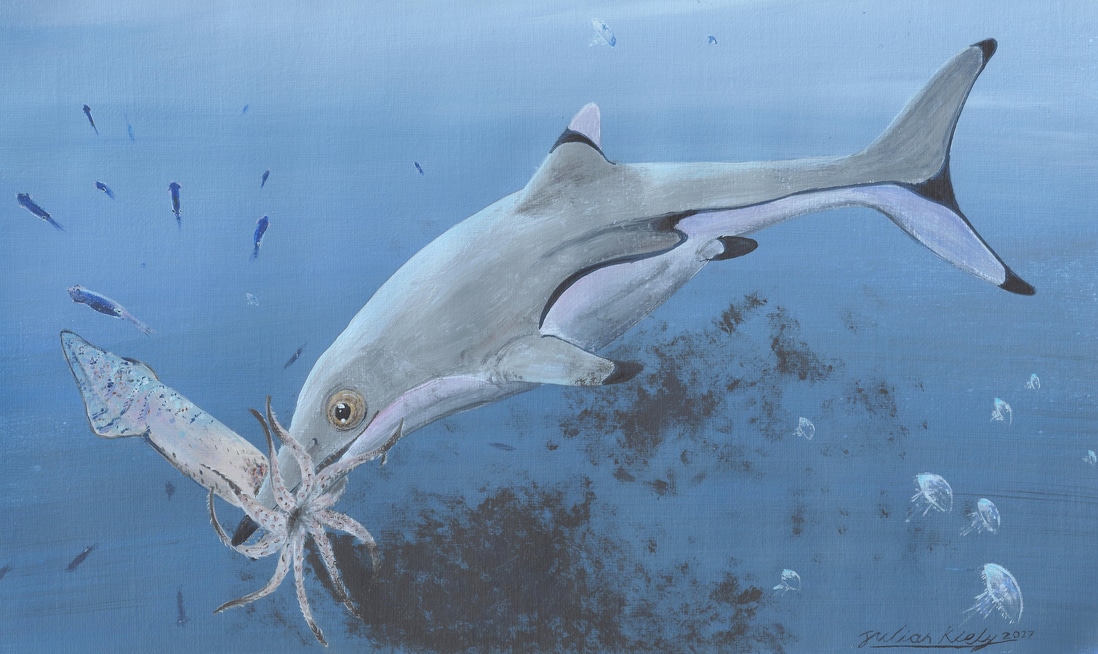 Un calamar, la última comida de un ictiosaurio recién nacido