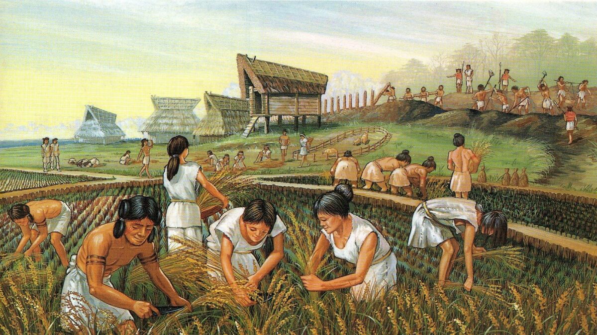 Un grupo de esqueletos aporta claves sobre el origen de la agricultura