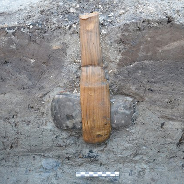 Un hacha prehistórica perfectamente conservada