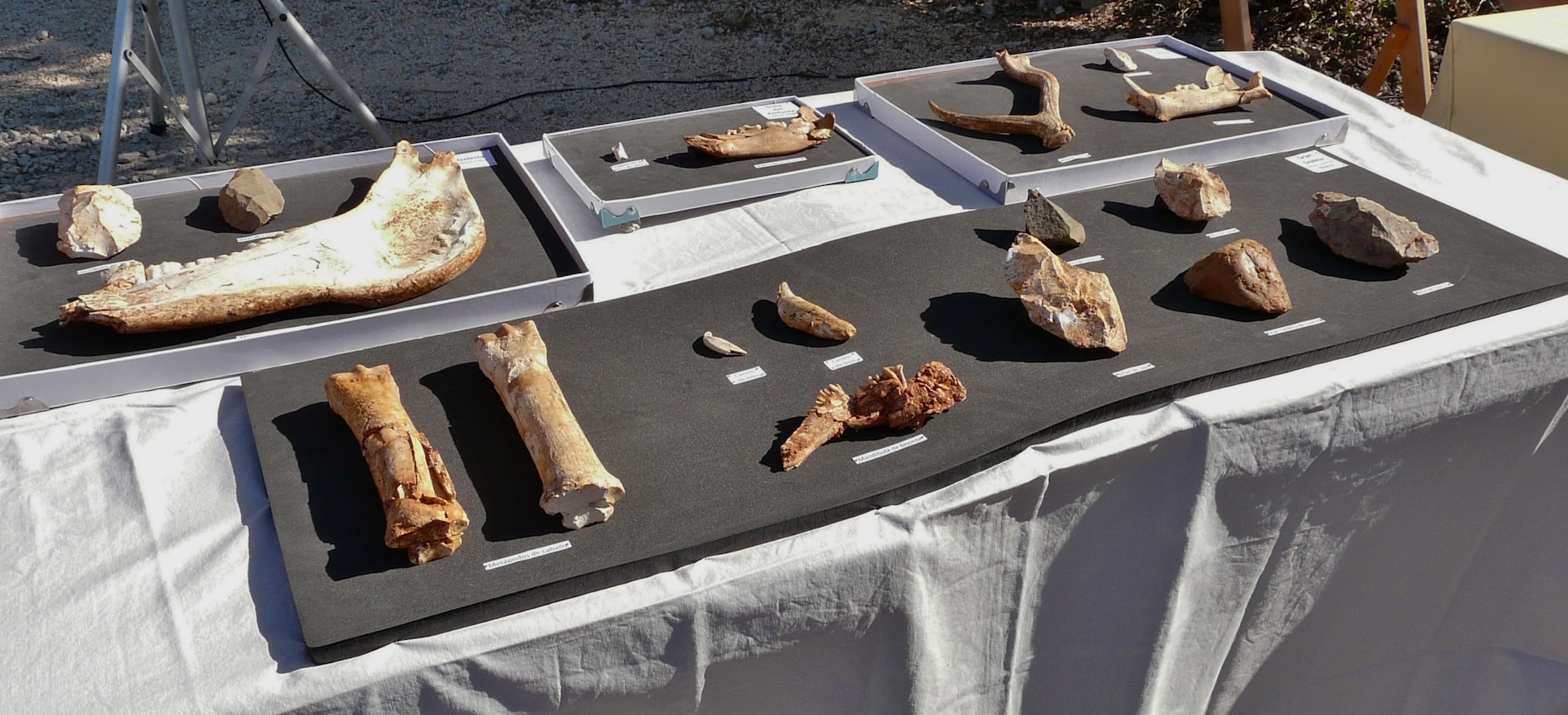 Un nuevo yacimiento en Atapuerca con restos de hace 400.000 años