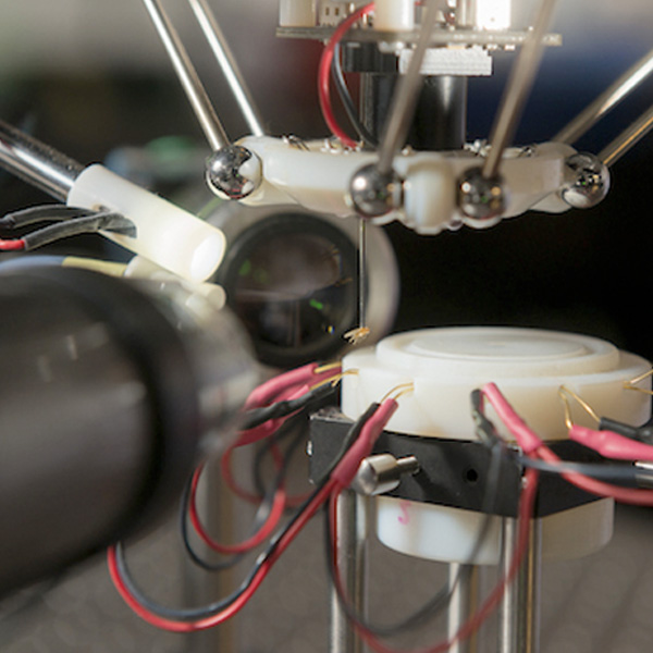 Un robot capaz de operar el cerebro de una mosca