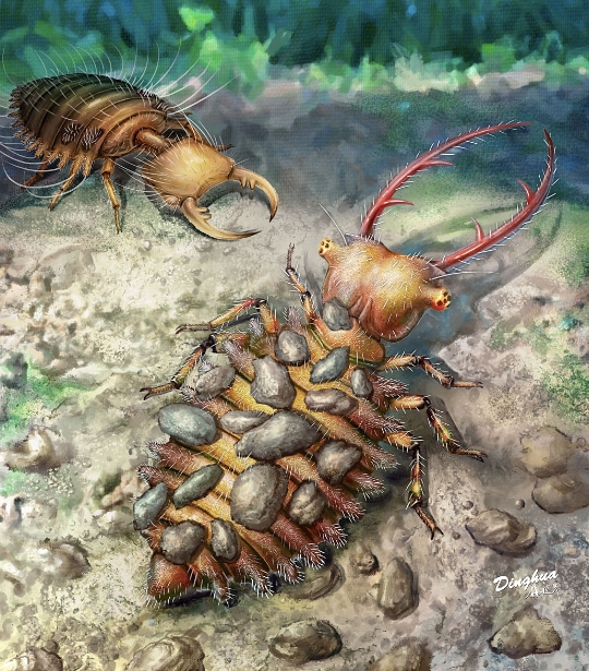 Una hormiga de cien millones de años