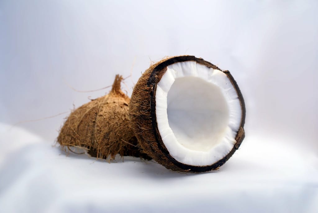 Una investigadora dice que el aceite de coco es veneno