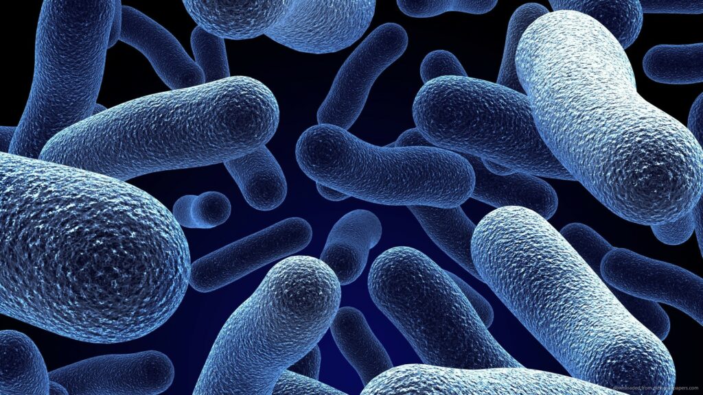 Una investigadora consigue emborrachar a las bacterias para que laven la ropa 1 una investigadora emborracha a las bacterias para que laven la ropa Una investigadora consigue emborrachar a las bacterias para que laven la ropa