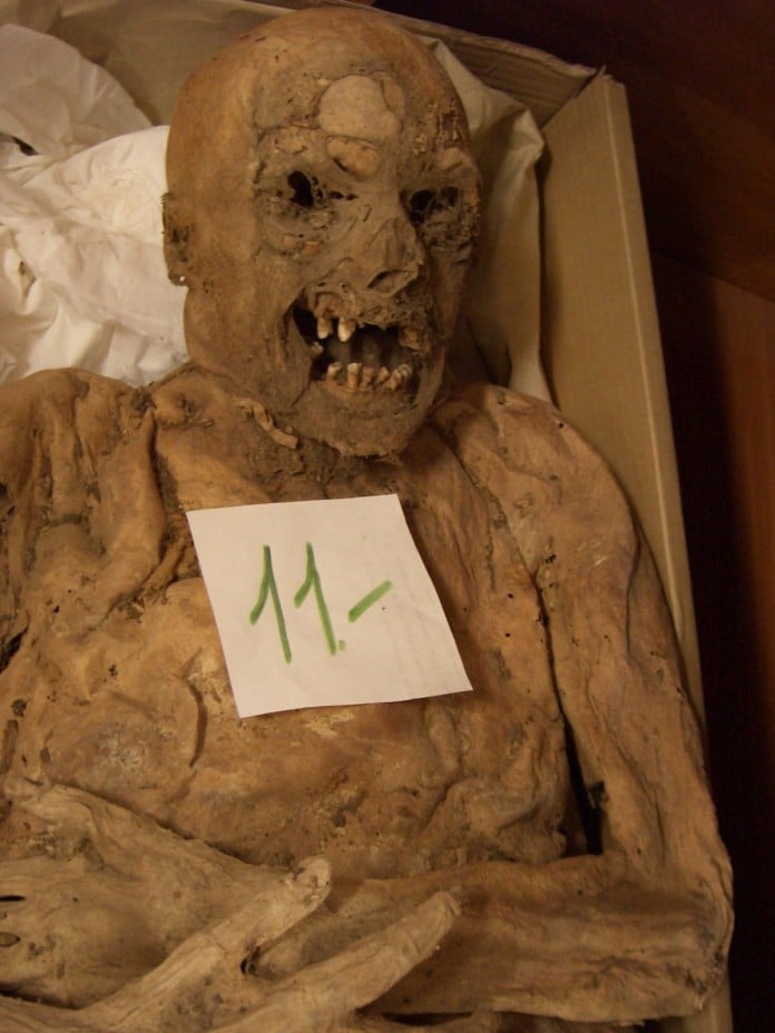 Una momia derriba uno de los mitos del cáncer