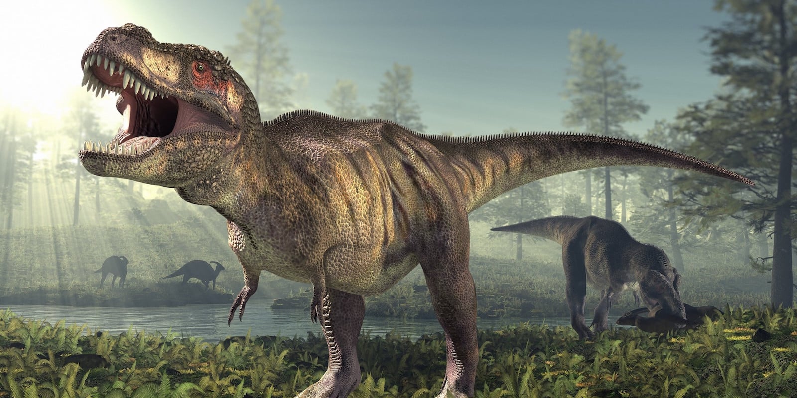 Una T. rex embarazada aporta nuevos conocimientos sobre evolución