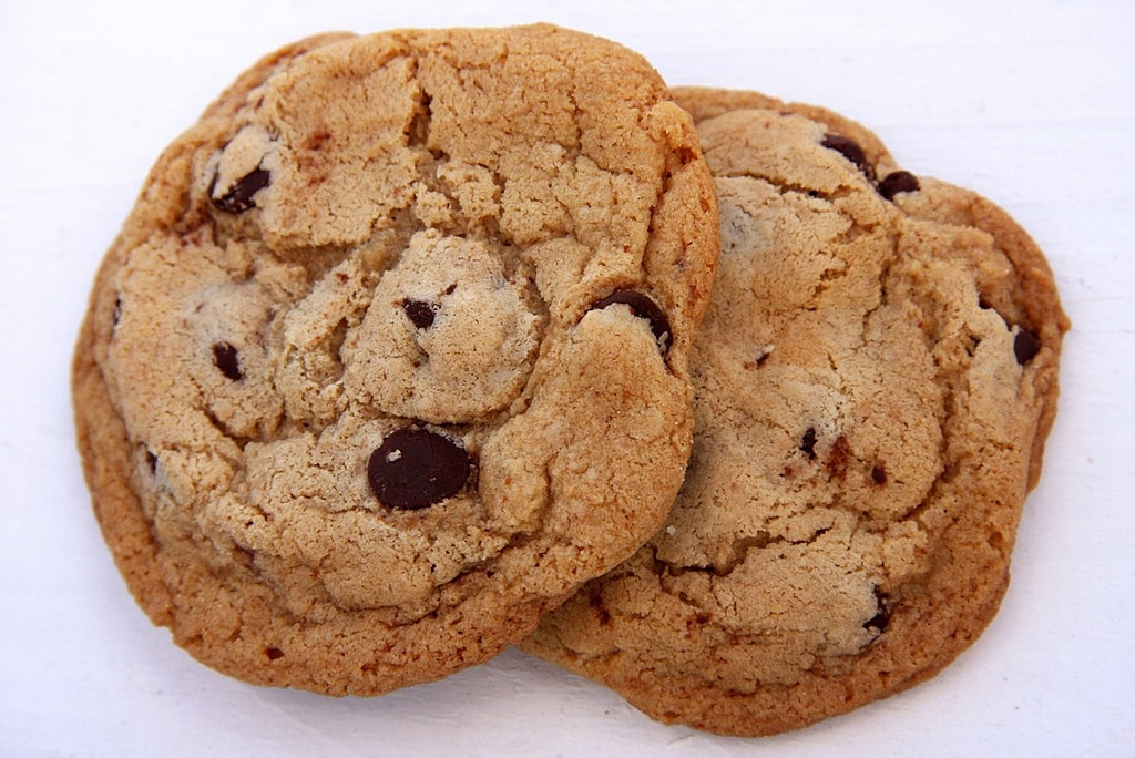 Unas deliciosas cookies arruinaron la tesis de un experimento científico