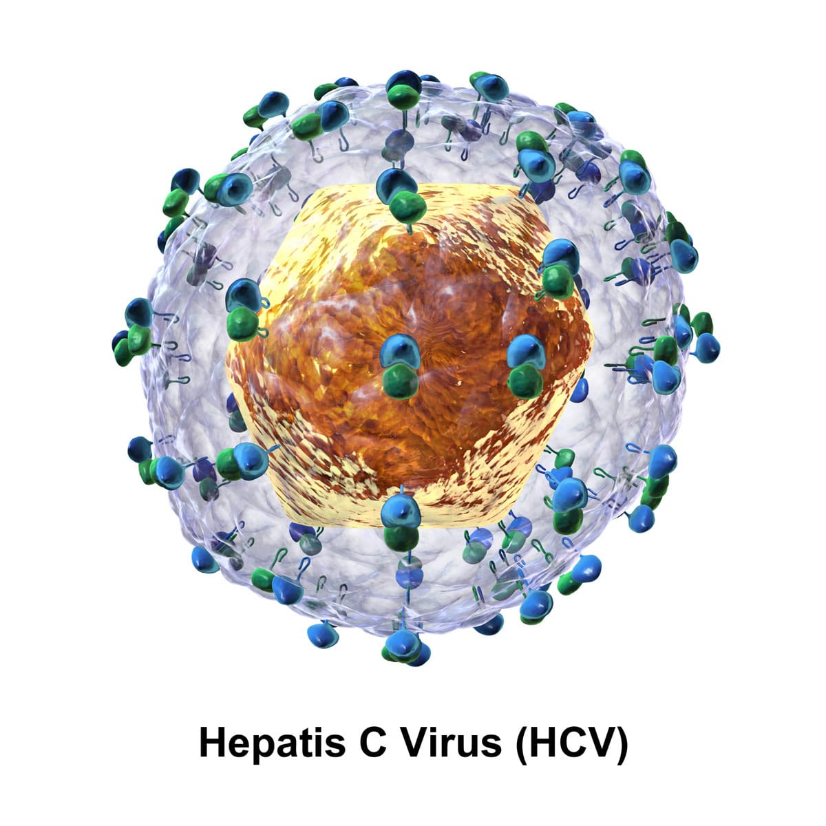 ¿Por qué no existe una vacuna contra la Hepatitis C?