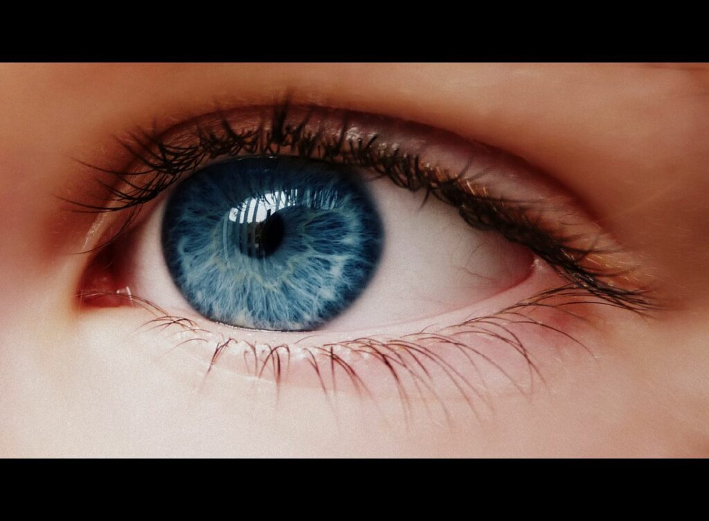 Vinculo entre el color de ojos y el alcoholismo 1 vinculo entre el color de ojos y el alcoholismo Vinculo entre el color de ojos y el alcoholismo