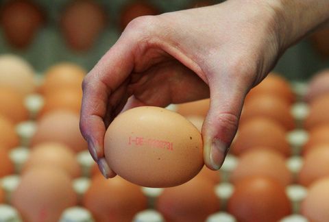 Descubren un método para diferenciar al 100% los cuatro tipos de huevos de gallina