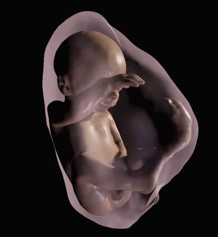 Ya es posible ver, en 3D, cómo crece un bebe en el útero