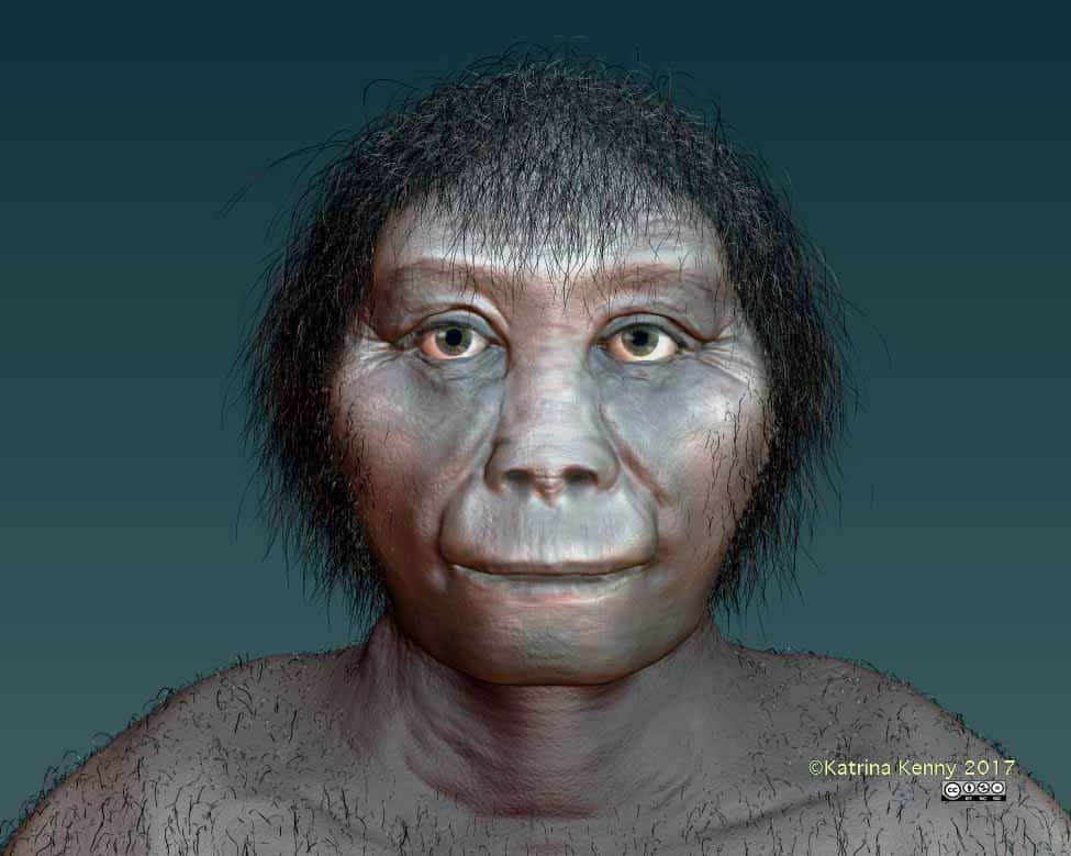 Ya sabemos el origen del Homo floresiensis, el hobbit de Indonesia