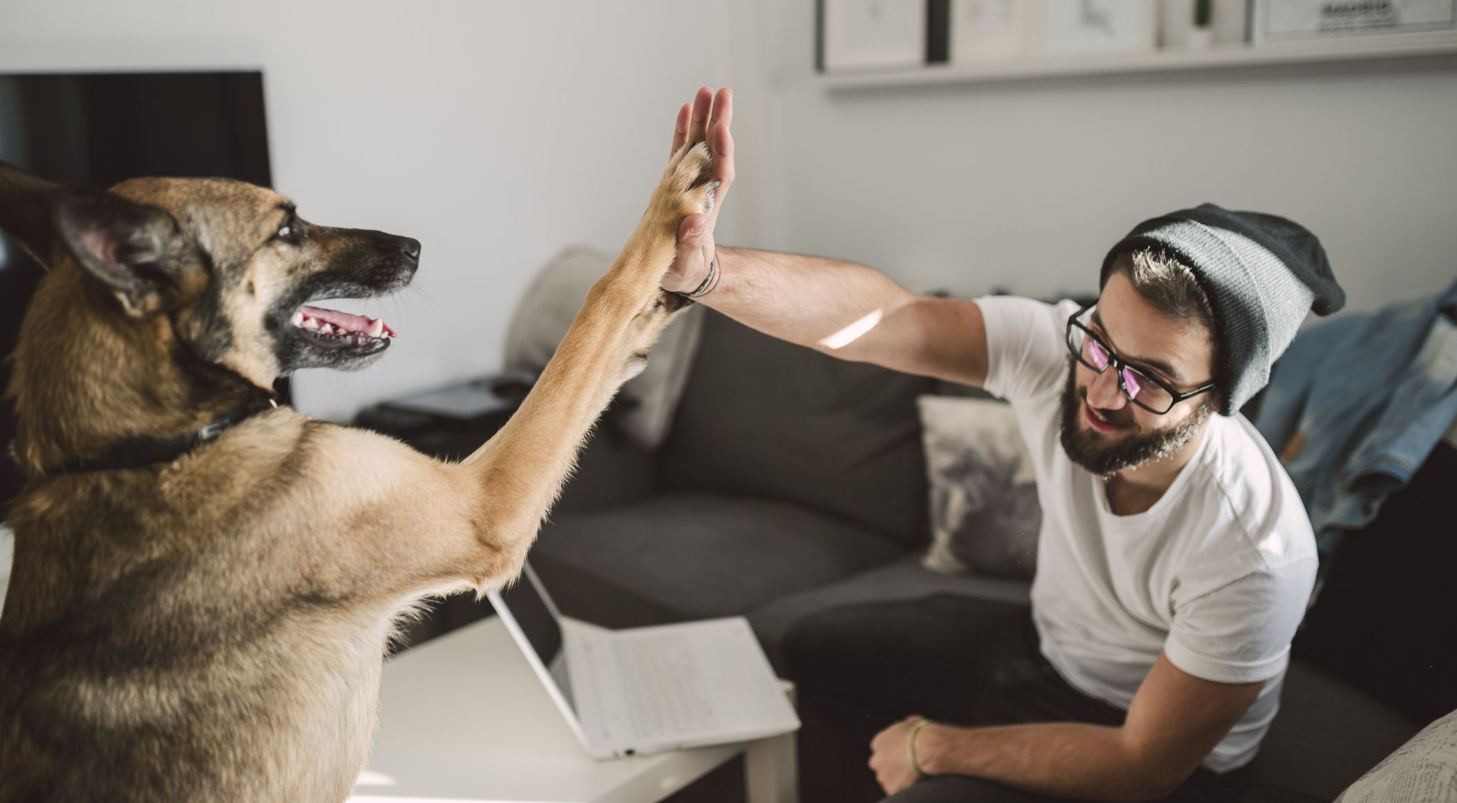 ¿Cómo nació la amistad entre hombre y perro?