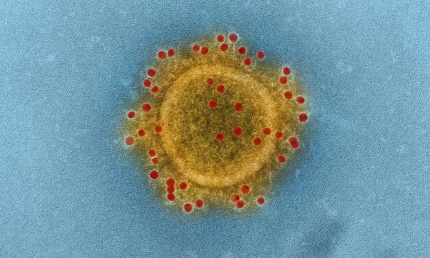 Todo lo que necesitas saber del nuevo coronavirus y su contagio