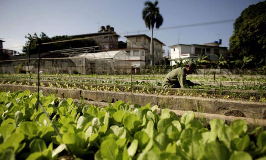 Cuba es el país desarrollado más sostenible del mundo