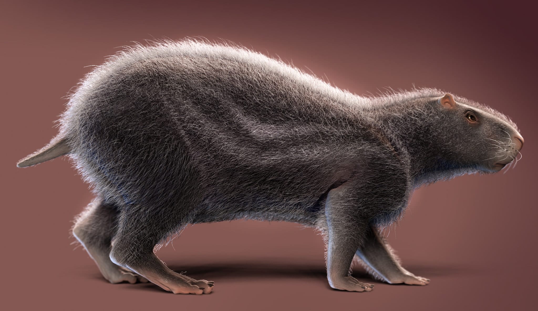 Una rata gigante prehistórica con un cerebro diminuto