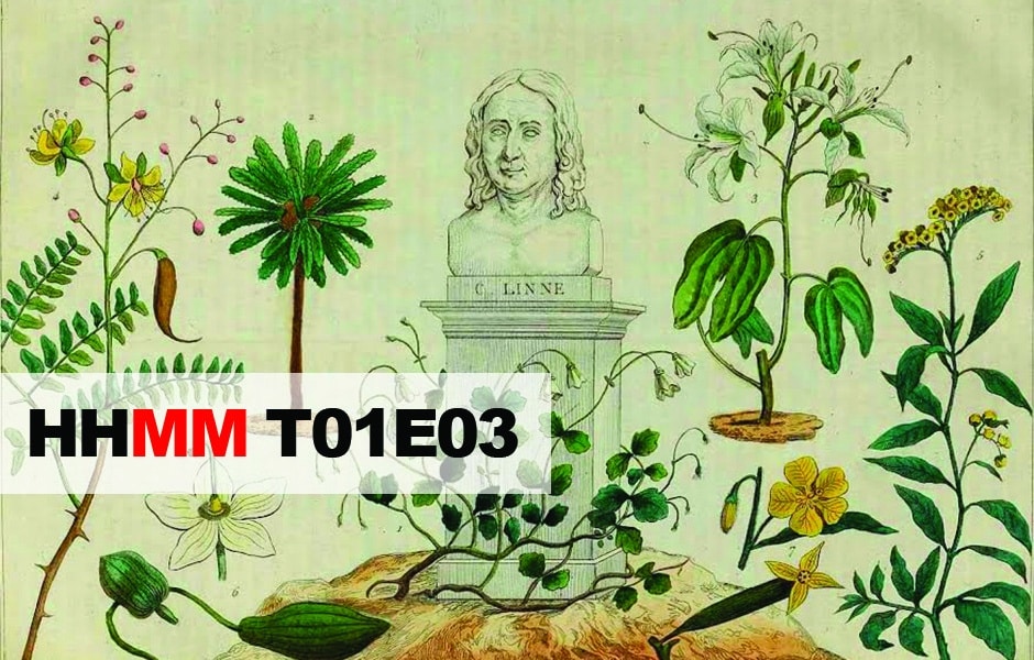Historias Mínimas T01E03: Linneo, la lucha de Clara Schumann y días aburridos