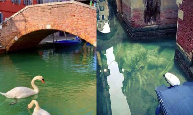 Así se hicieron las fotos falsas de los cisnes y los delfines en Venecia