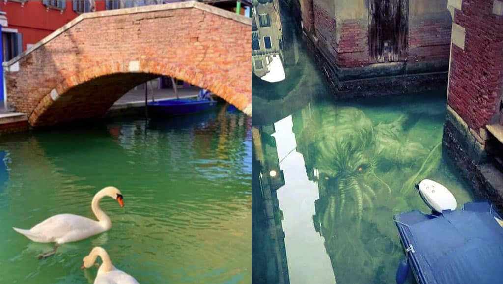 Así se hicieron las fotos falsas de los cisnes y los delfines en Venecia