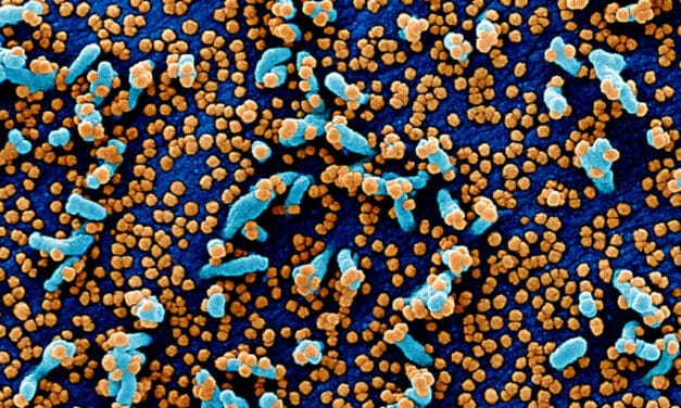 El coronavirus es más contagioso que nunca dos días antes del primer síntoma