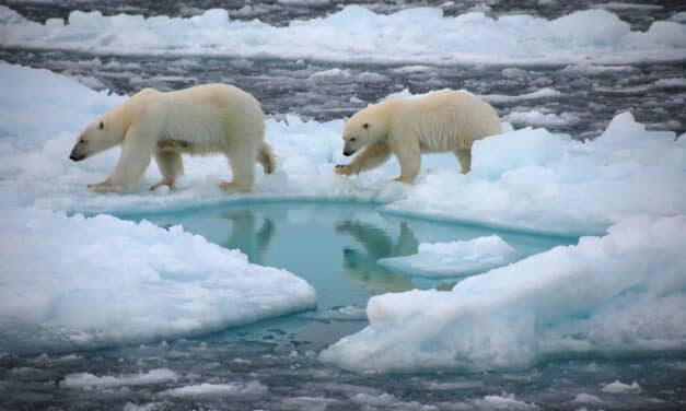 El Ártico se quedará sin hielo en verano antes de lo previsto