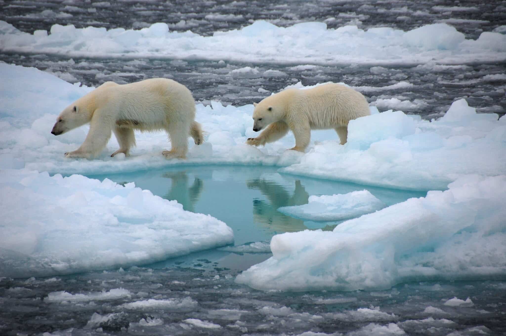 El Ártico se quedará sin hielo en verano antes de lo previsto