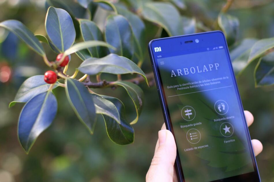 Las mejores apps para identificar flores, árboles y plantas silvestres