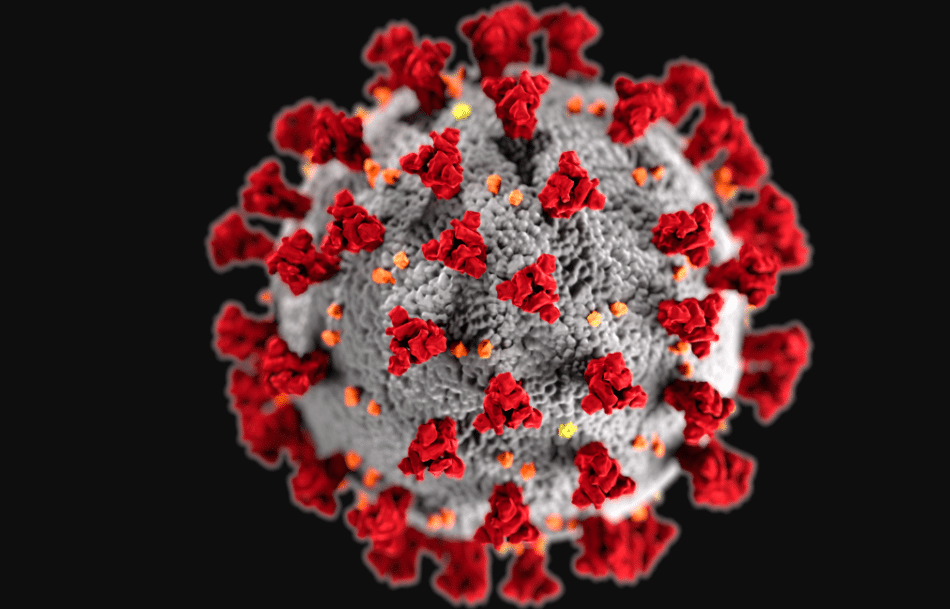 Así influyen las células T en la inmunidad a largo plazo al coronavirus