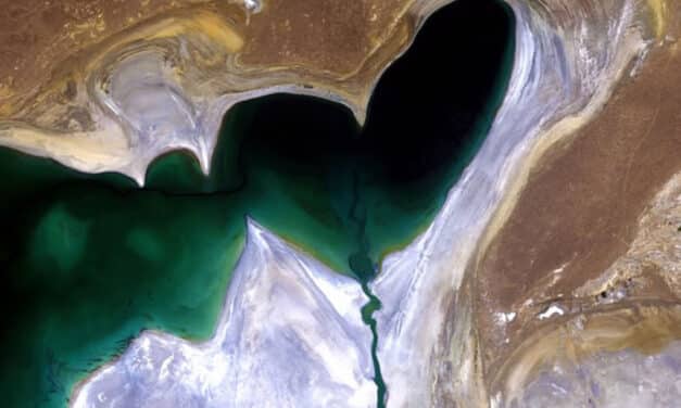 Un corazón verde visto desde el espacio