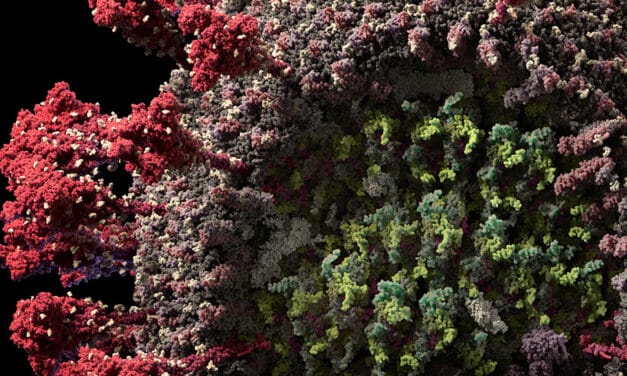 VIDEO: así es el coronavirus en 3D, átomo a átomo