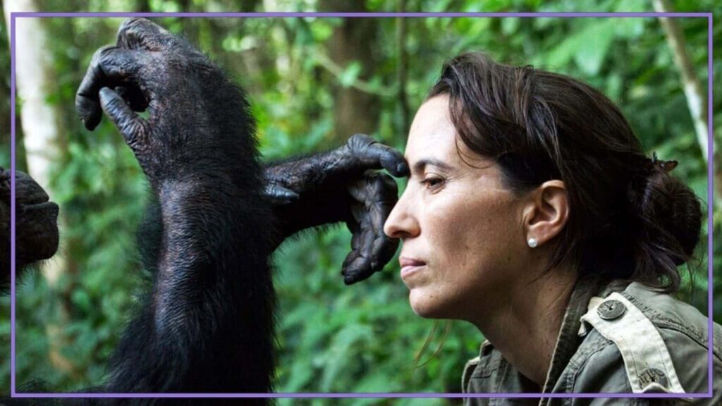 Rebeca Atencia es doctora veterinaria y dirige el Instituto Jane Goodall Congo y el Centro de Rehabilitación de Chimpancés del IJG en Tchimpounga