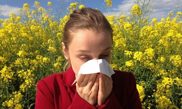 El cambio climático empeorará la alergia al polen
