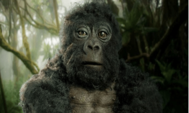 VIDEO: un gorila robot es aceptado como uno más y consigue imágenes inéditas