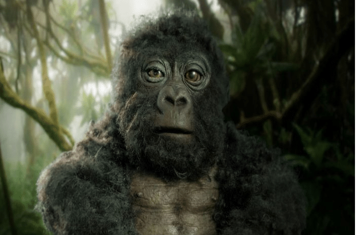 VIDEO: un gorila robot es aceptado como uno más y consigue imágenes inéditas