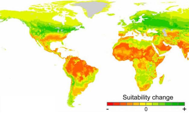 En 2070 miles de millones de personas vivirán con temperaturas similares a las del Sáhara