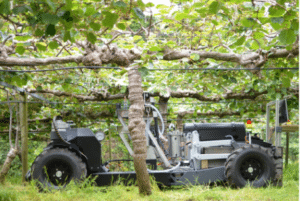 robot polinizador kiwi