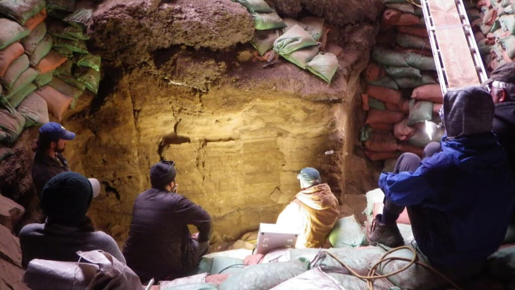 Analizan los restos fósiles de la caca humana más antigua y esto es lo que encuentran
