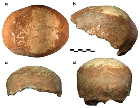 Cráneo encontrado en Manot