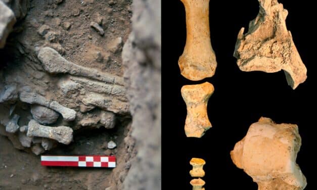 El enigma tras el pie de Amud 9, la mujer neandertal