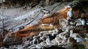 Excavación en Border Cave